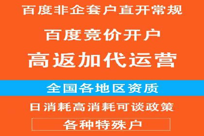 行业领先企业的SEM代运营经验分享